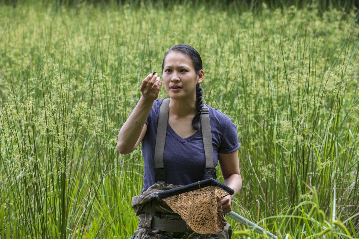 Jessica Hua’s research focuses on evolutionary disease ecology.