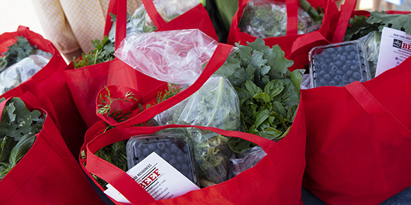 An example of what participants in the CSA Farm Share brought home each week for 10 weeks in the summer. The fruits and vegetables were from Catskill Cattle Company, a family farm in Deposit, N.Y.