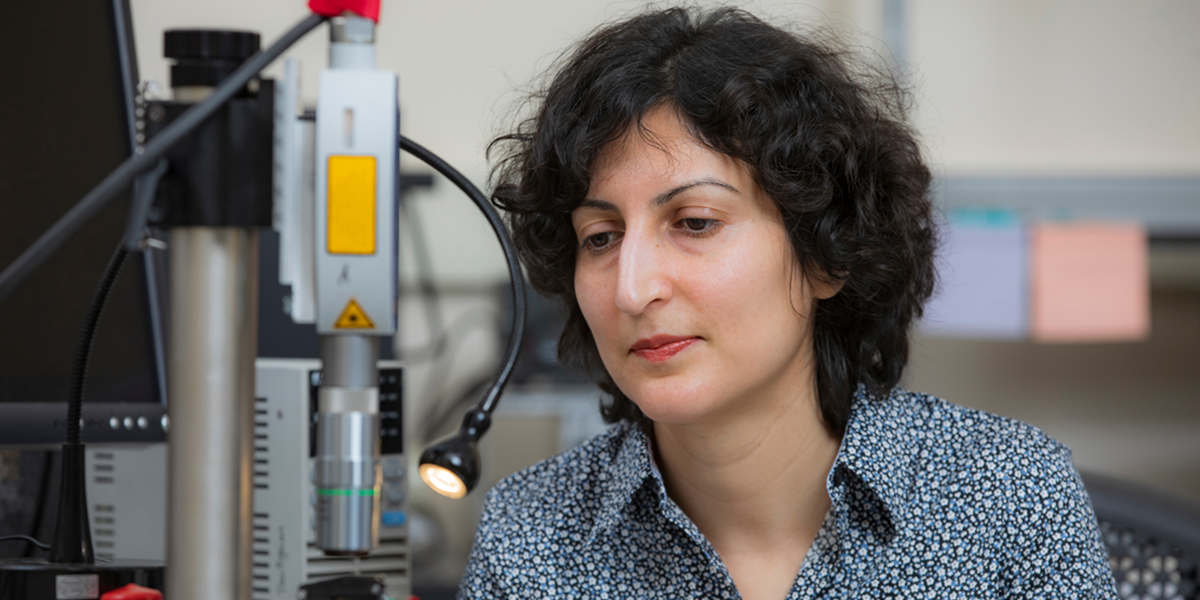 Associate Professor Shahrzad “Sherry” Towfighian, a faculty member in the Department of Mechanical Engineering at Binghamton University’s Thomas J. Watson College of Engineering and Applied Science.