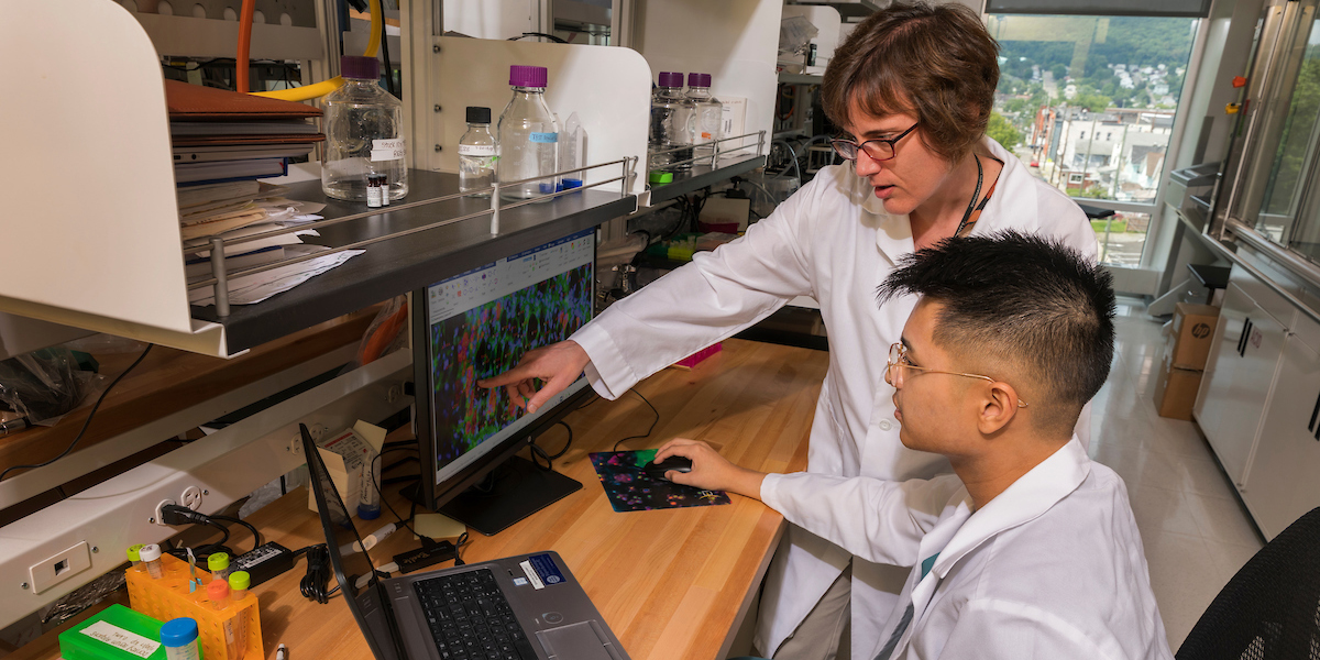 Aaron Beedle, associate professor and chair of pharmaceutical sciences, works with PharmD student Ricky Lam in her lab.