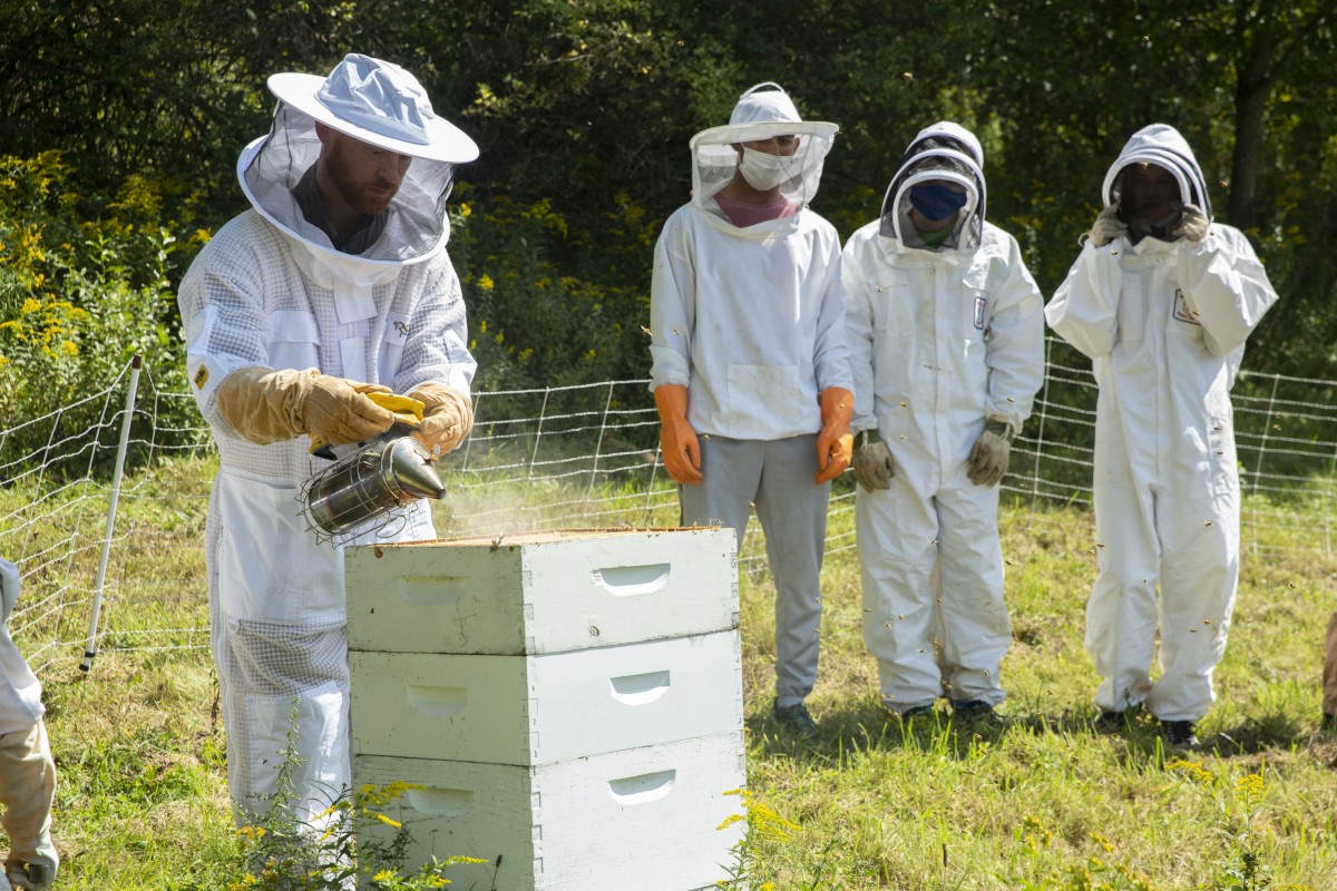 Beekeeping – From Science to Practice