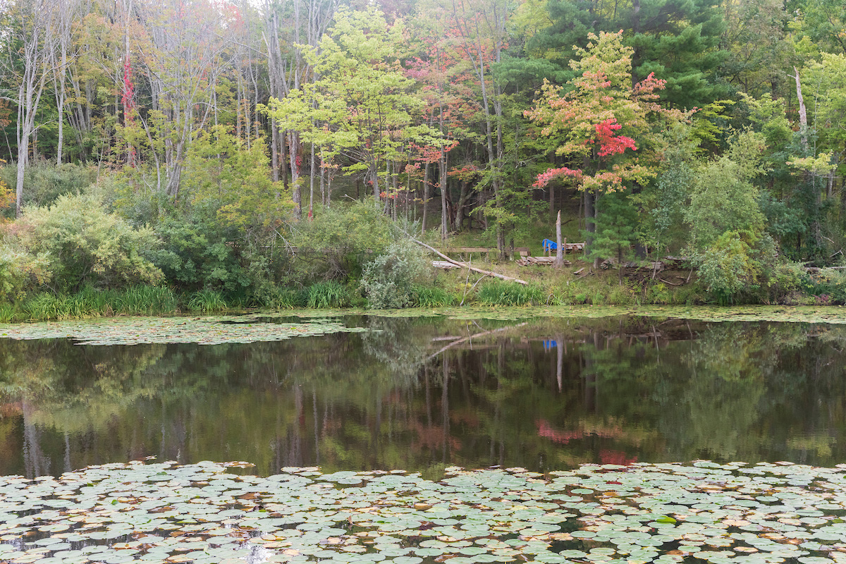 The pond at Nuthatch Hollow, scene during renovations at the site in the fall of 2021.