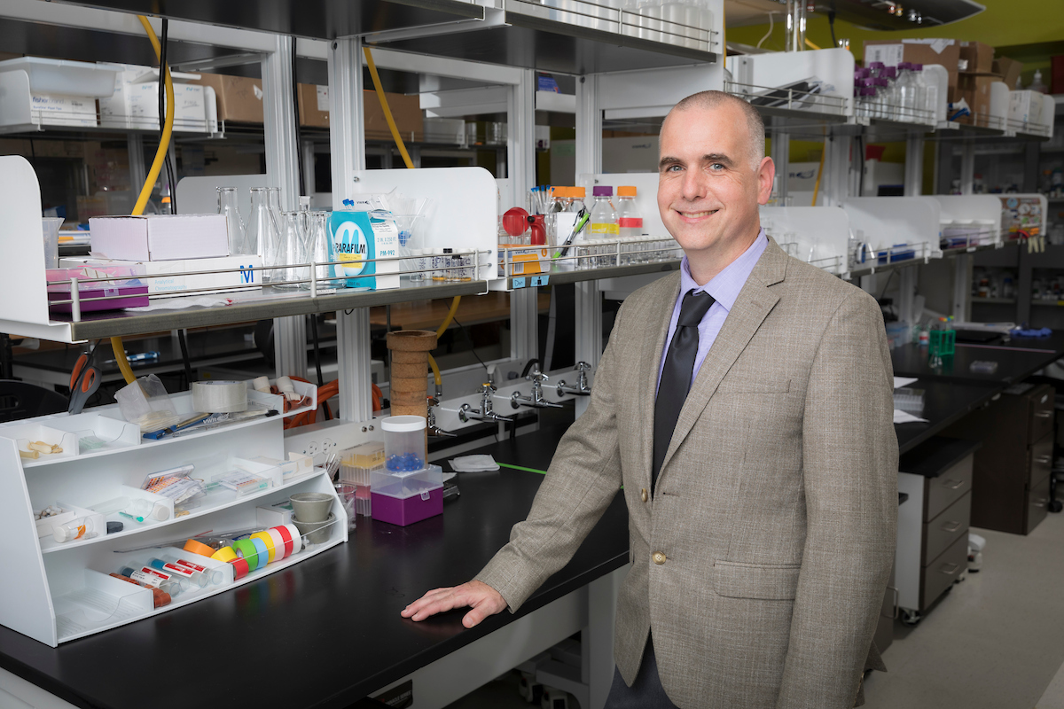 Backed by a NIH grant, Binghamton researcher L. Nathan Tumey is advancing antibody-drug-conjugate technology for the treatment of cancer and immunological disorders, exploring flexible approaches for cell-specific drug delivery.