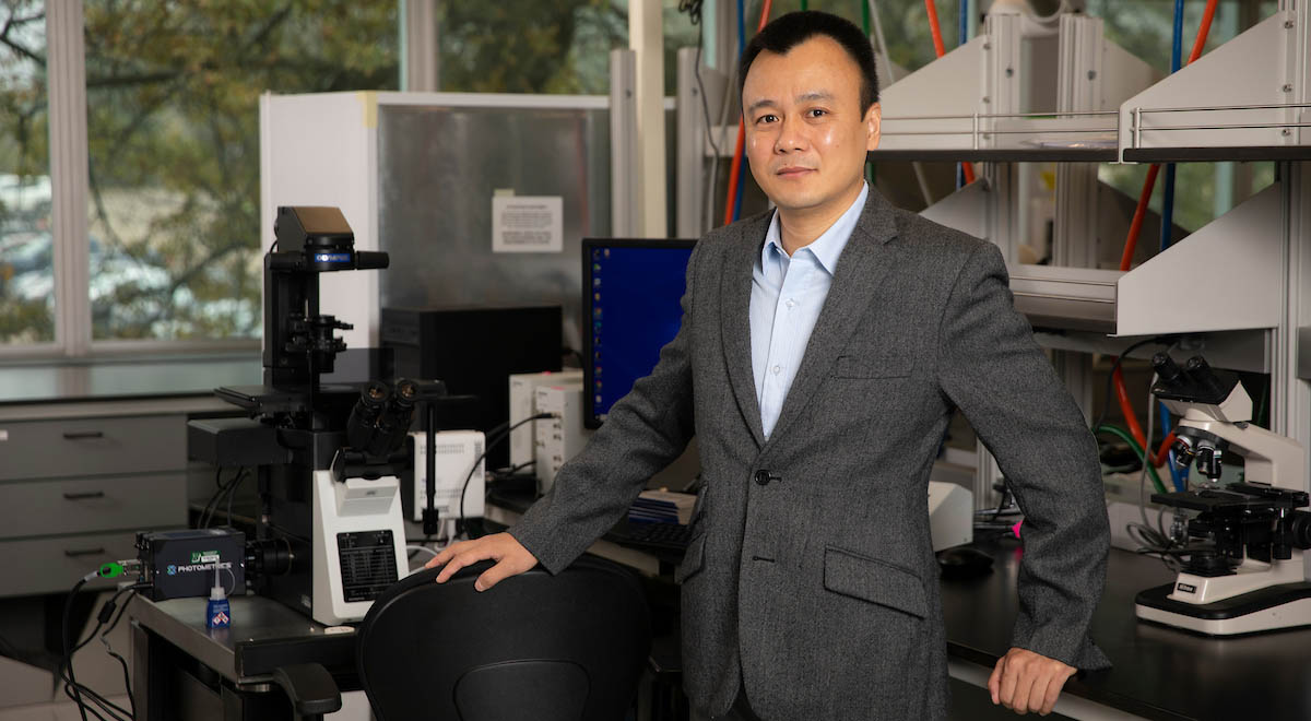 Yuan Wan, an associate professor of biomedical engineering at Binghamton University