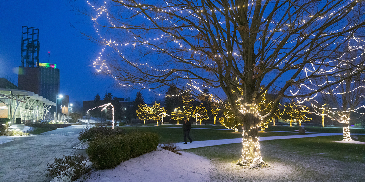 The Peace Quad, December 2021.