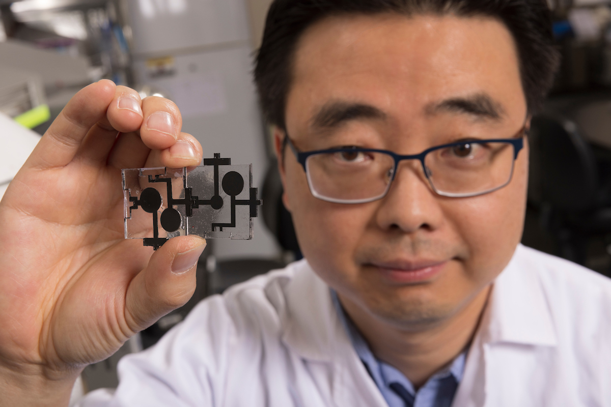 Professor Seokheun “Sean” Choi developed a “plug-and-play” biobattery that lasts for weeks at a time and can be stacked to improve output voltage and current.