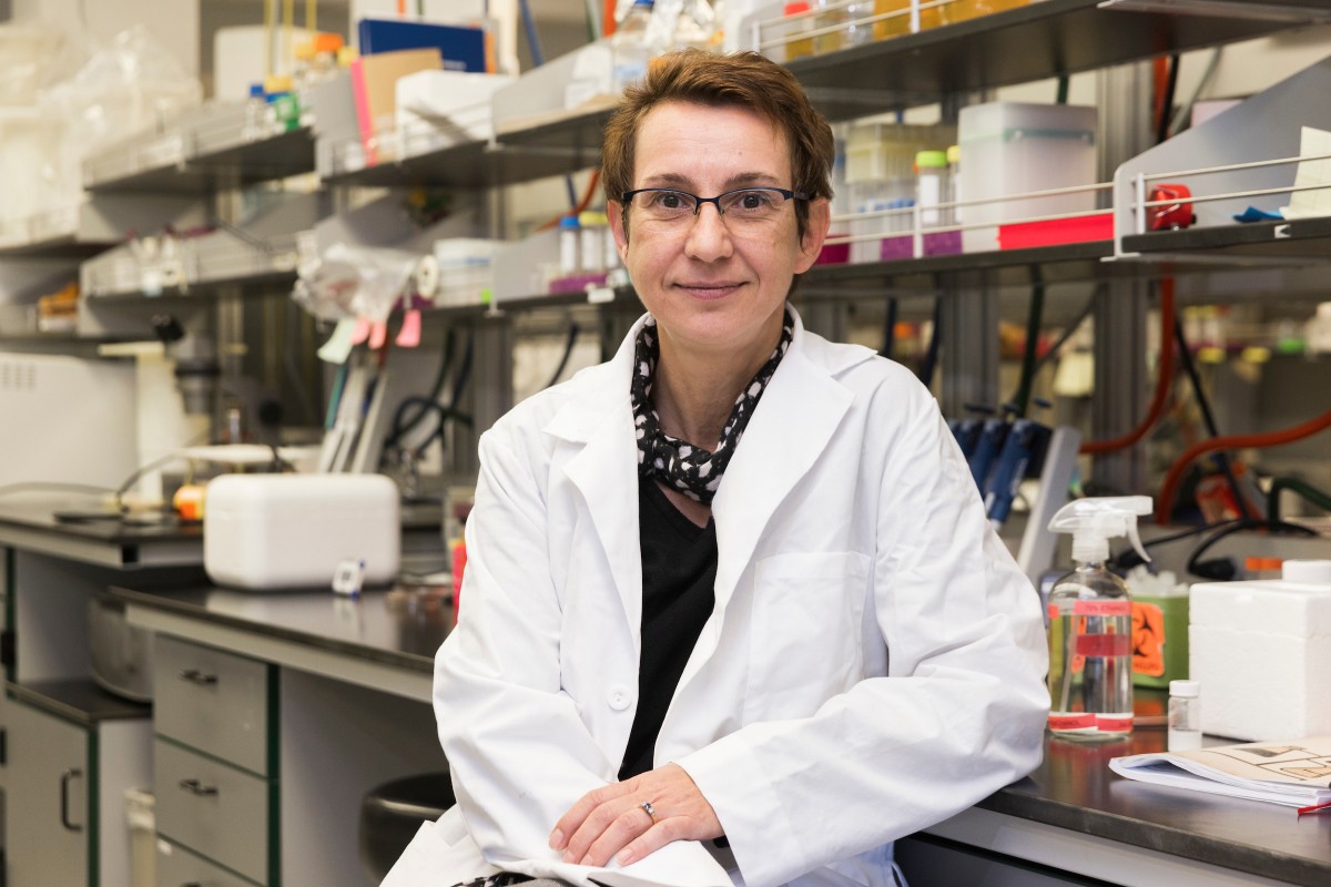 Biological Sciences Professor Karin Sauer at her laboratory in the Biotechnology Building at the Innovative Technologies Complex.