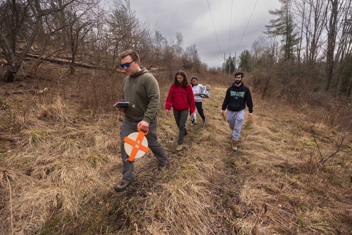 ENVI 382B students Tucker Keene, Arianna Edwards, Jamila Wang and Jared Sackett walk to a meadow in Nuthatch Hollow to run an experiment.