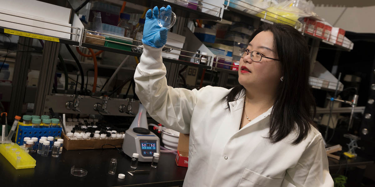 Assistant Professor Siyuan Rao studies neuroengineering technologies to treat spinal cord injuries.