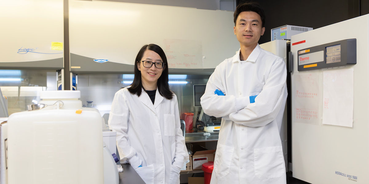 Assistant Professors Ying Wang (Department of Biomedical Engineering) and Yingge Zhou (School of Systems Science and Industrial Engineering) collaborated on research about engineered tissues.