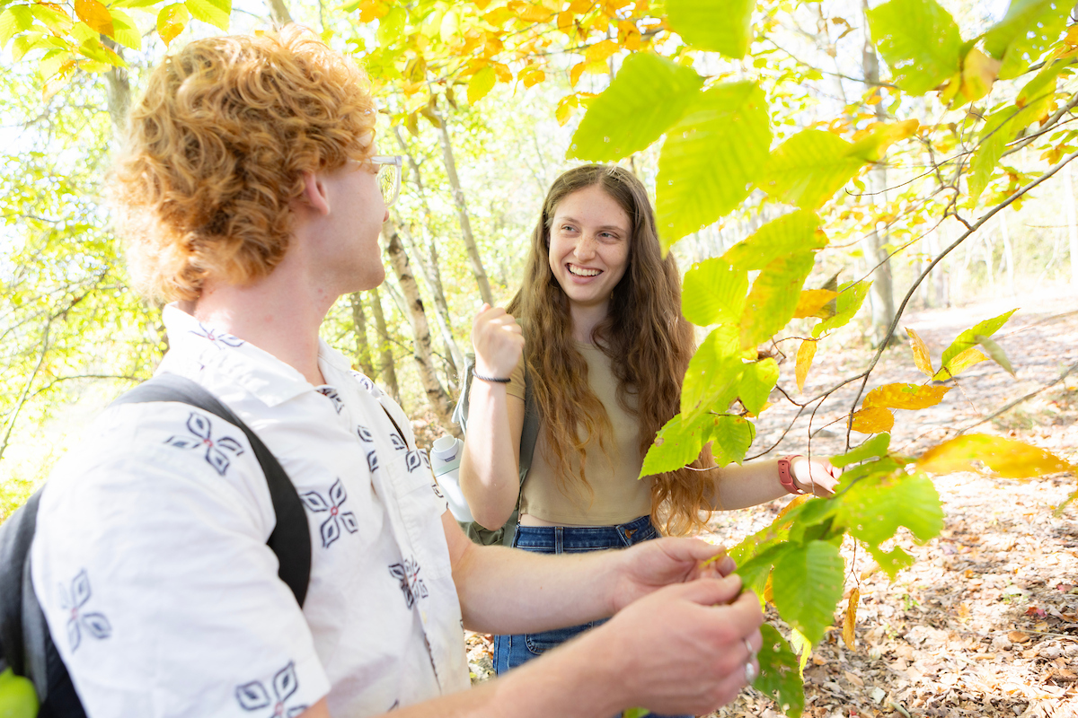 STARS is a comprehensive sustainability rating system for colleges and universities that addresses the environmental and economic sides of sustainability