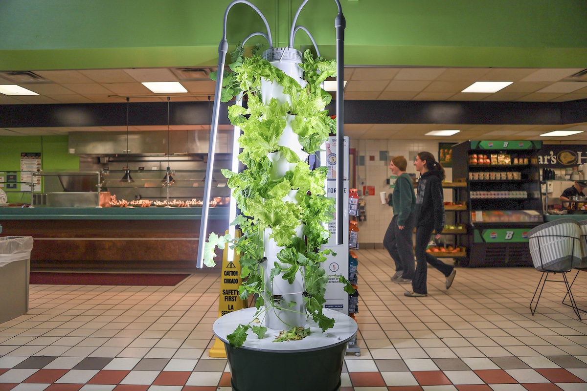 Hydroponic towers located at College-in-the-Woods Dining Hall provide produce for diners as well as the Food Pantry.