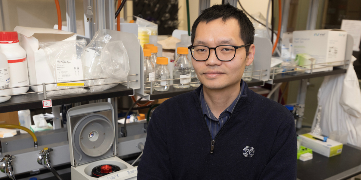 Professor Wei Qiang has studied Alzheimer’s since he joined Binghamton's faculty more than a decade ago. He investigates the very fragments, called Amyloid-beta peptides, thought to mark the beginning point of the disease.