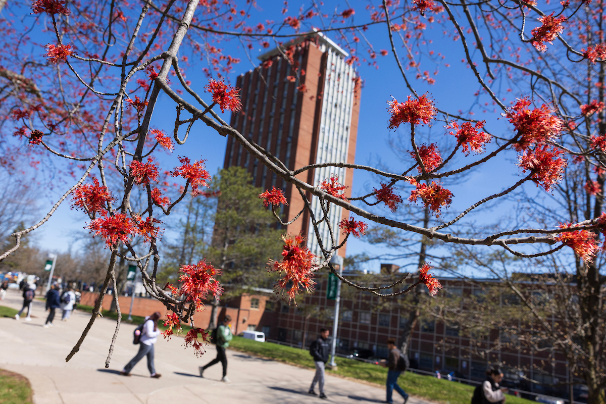 Each year, U.S. News & World Report compiles a list of the top graduate school programs in the United States in a variety of fields.