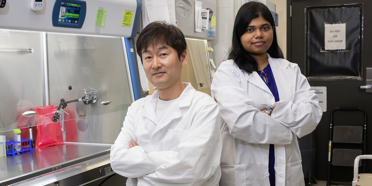 Assistant Professor Jungwook “Jay” Paek and PhD student Anika Alim worked together on research to find out how airway tissues react to mechanical forces.