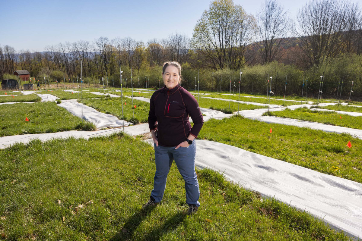 Assistant Professor of Ecosystem Science Amber Churchill researches the impact of climate change on
grasslands, pastures, and lawns. Here she is shown at the site of her experiment, located in Nuthatch Hollow.