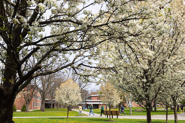 The University also contributed $1.69 billion to the Binghamton regional economy in 2025, up $200 million – a 13% increase over the previous year.