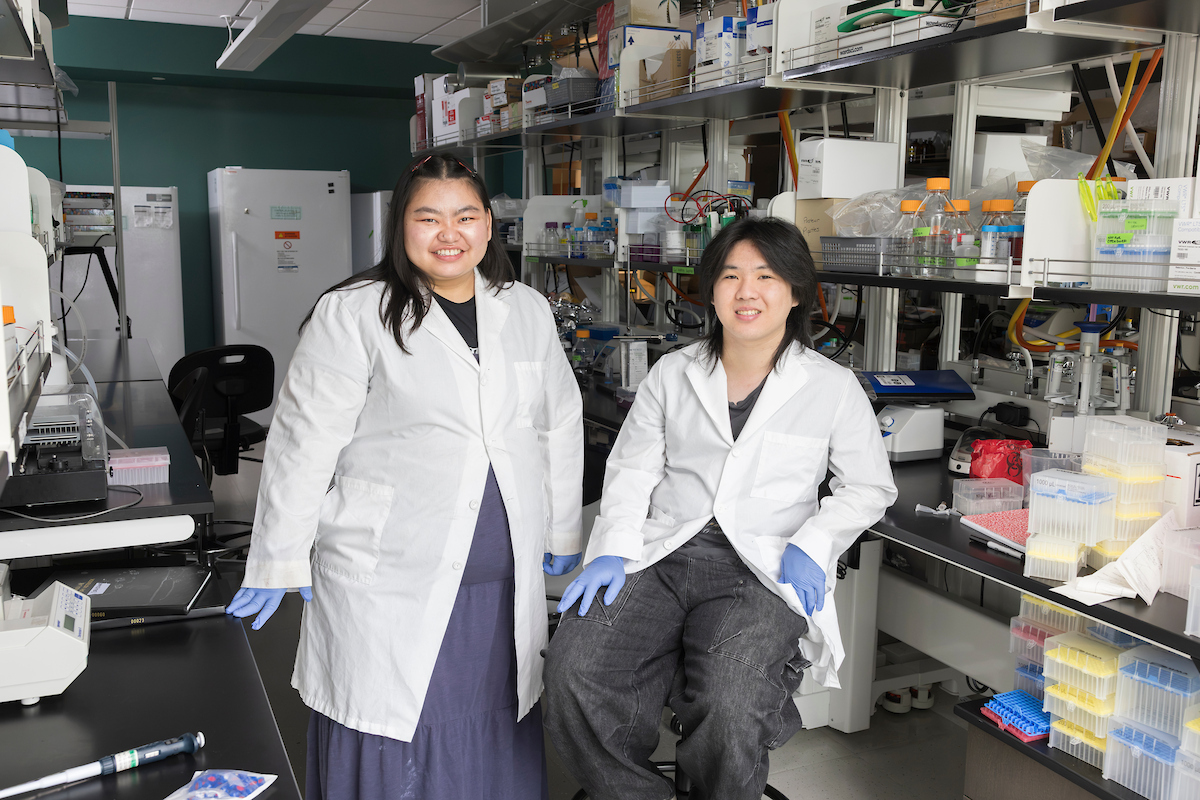 School of Pharmacy and Pharmaceutical Science students David Wang and Lun Nuam are working on two projects with Assistant Professor of Pharmaceutical Sciences Katie Edwards, reviewing antioxidant capacity and protection in invasive plant samples and root teas.