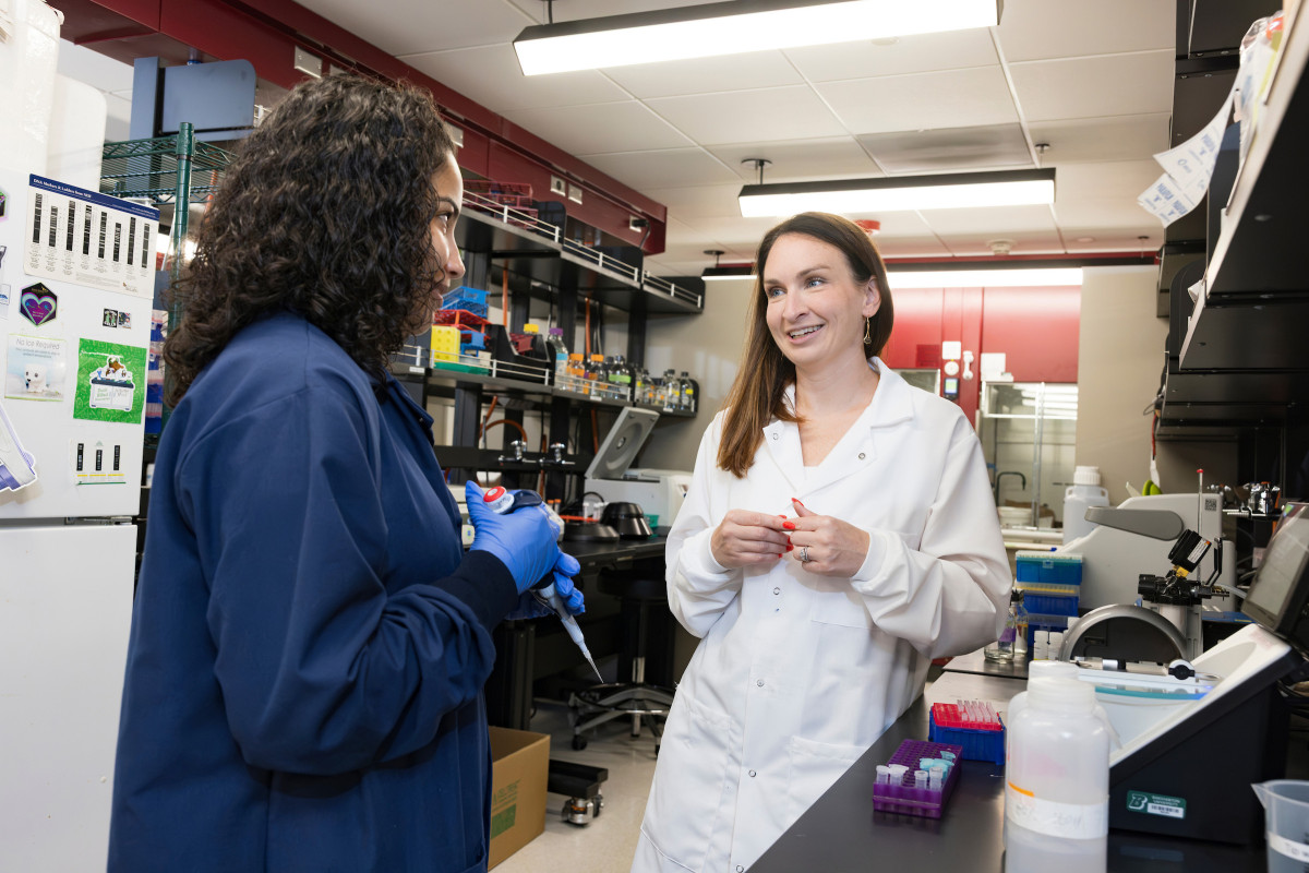 Associate Professor of Biological Sciences Laura Cook in her laboratory in Science III with graduate student Giselle Jimenez on Sept. 1, 2026.