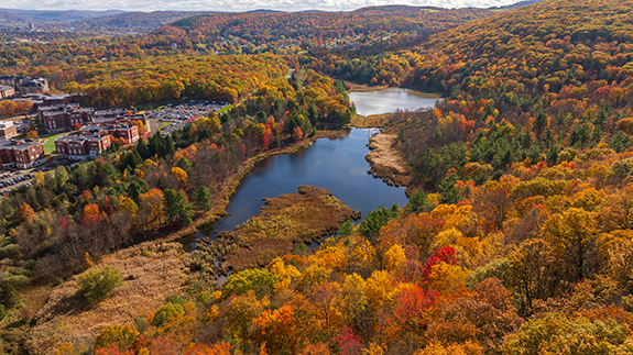 BInghamton University's Nature Preserve features hiking trails, an array of species, and a 20-acre wetlands.