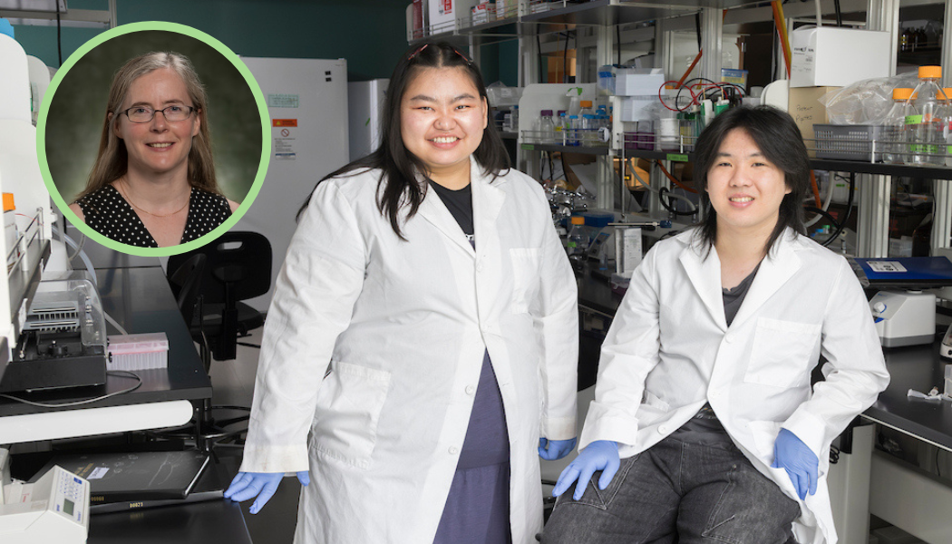 Assistant Professor of Pharmaceutical Sciences Katie Edwards, rising P2 students Lun Nuam and David Wang
