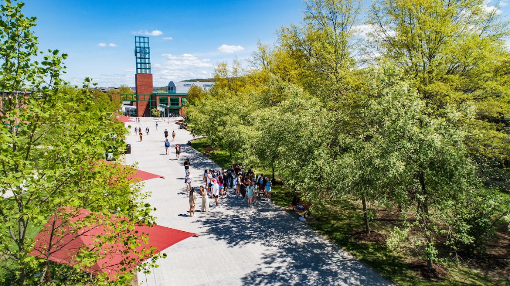 Jeffery Selingo's book 