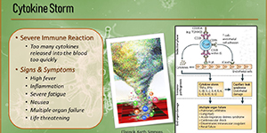A cytokine storm causes severe reactions.