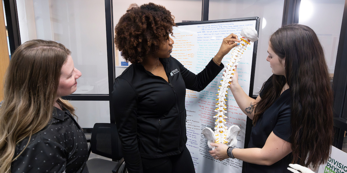 Binghamton University's Doctor of Physical Therapy program is a full-time, three-year curriculum that requires 117 credit hours for completion. The program earned accreditation in May 2026.
