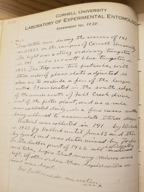 Some of the handwritten research notes from a 1920s experiment at Cornell University detailing moth species in the Ithaca area.