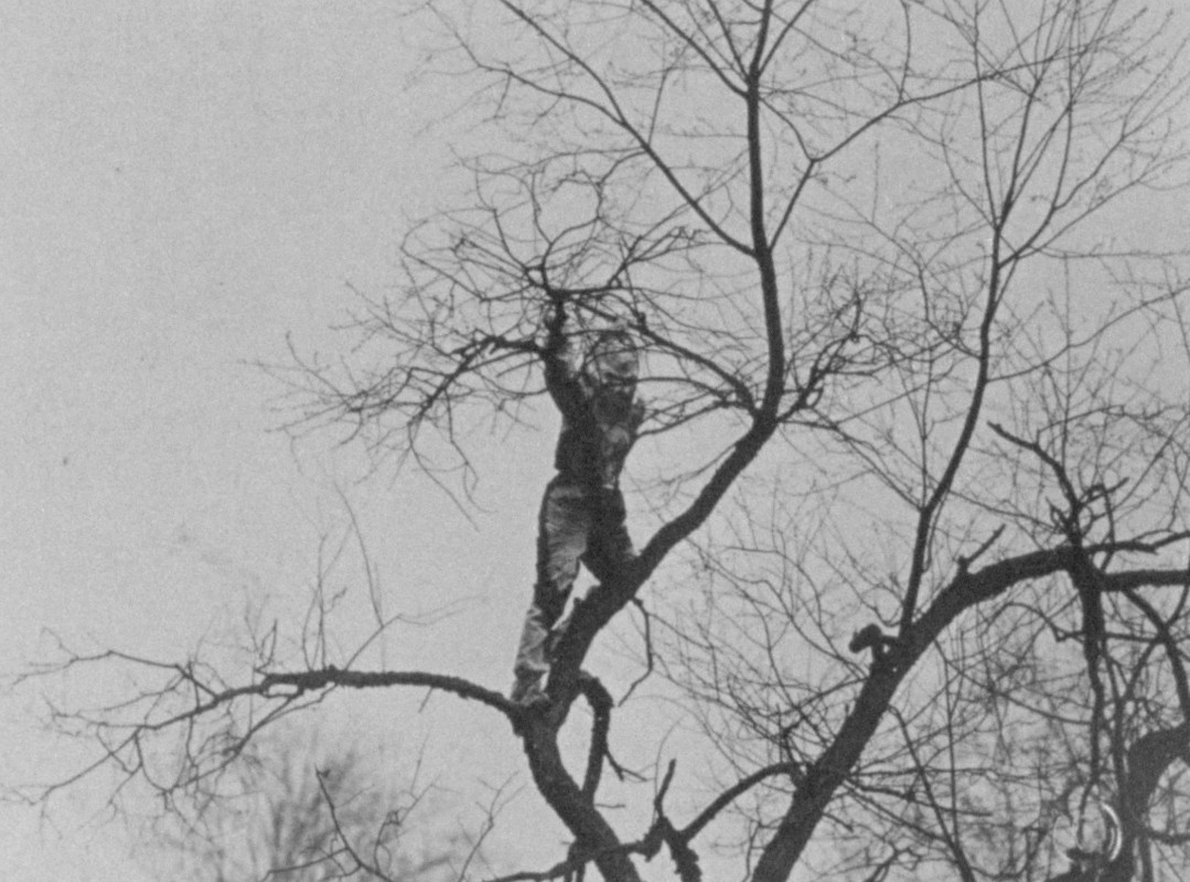 A still from Binghamton University Assistant Professor of Cinema Magdalena Bermudez’s experimental film 'Hiding Places.'