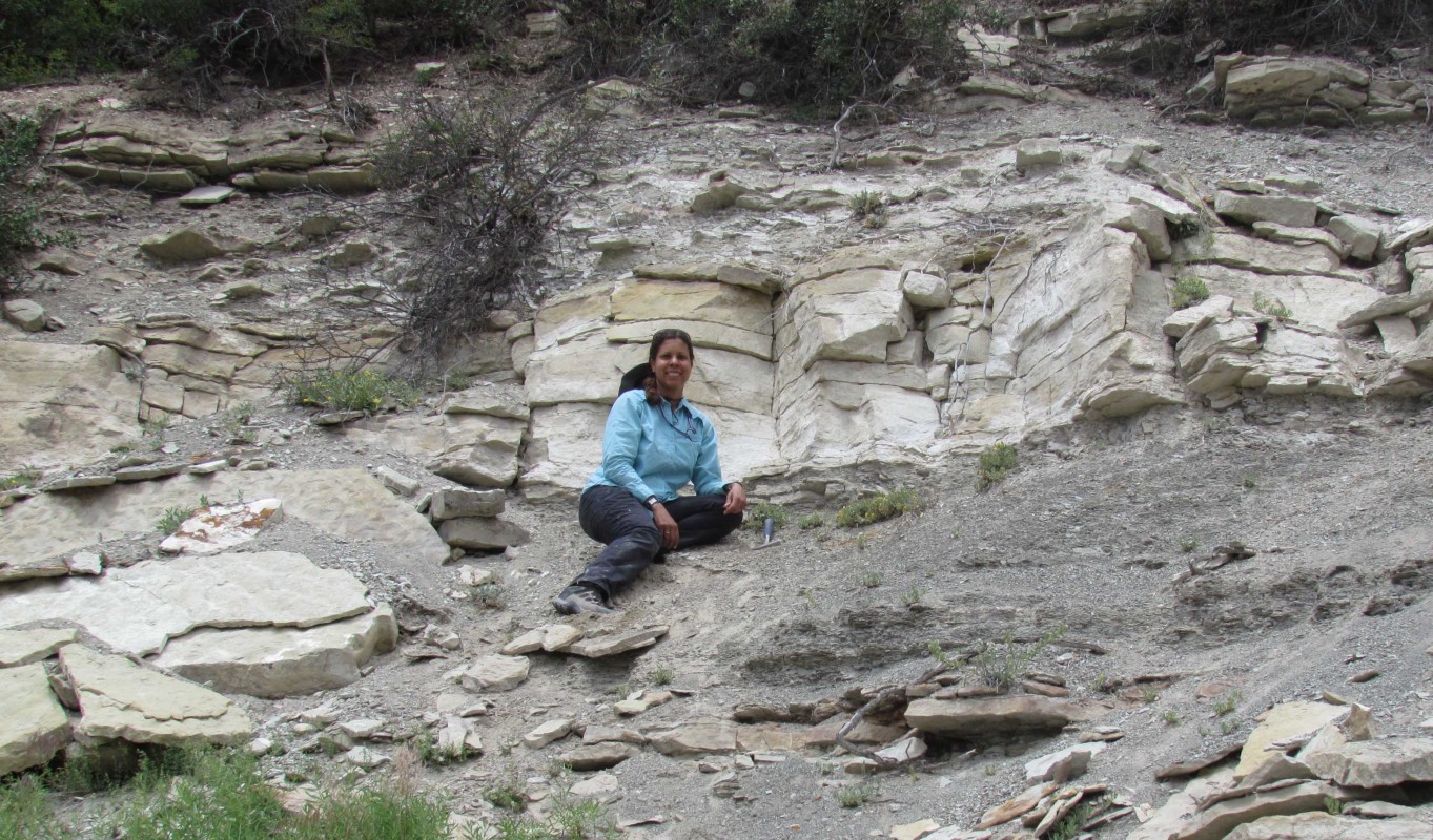 Kuwanna Dyer-Pietras, a Presidential Diversity Postdoctoral Fellow in the Department of Geological Sciences, in the field.