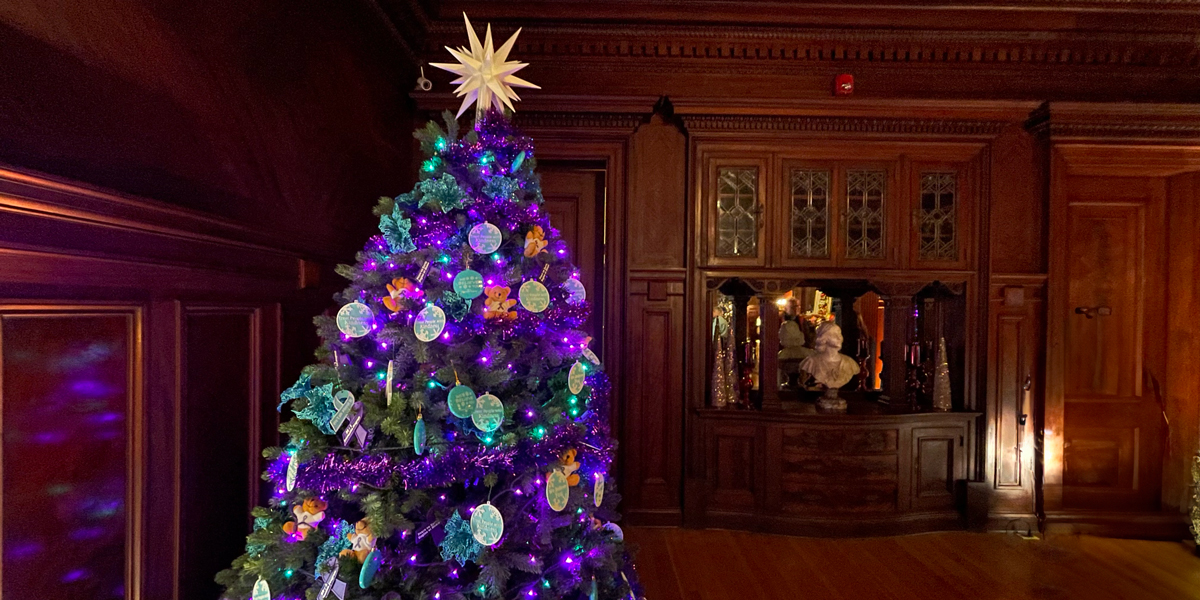 The 20:1 tree uses teal and purple, as teal is the color that represents sexual assault prevention and purple represents domestic violence prevention or awareness.