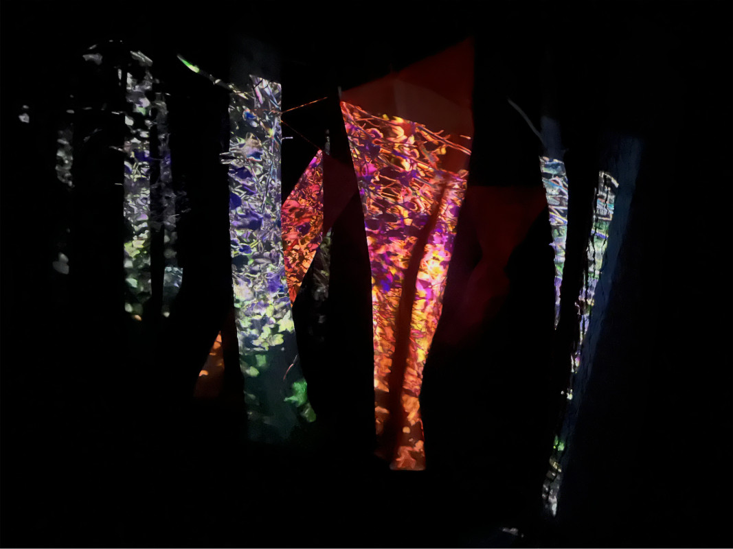 Lights shine on Flying Buttruss, an illuminated, suspended structure created for the Bethel Woods Art & Architecture Festival.