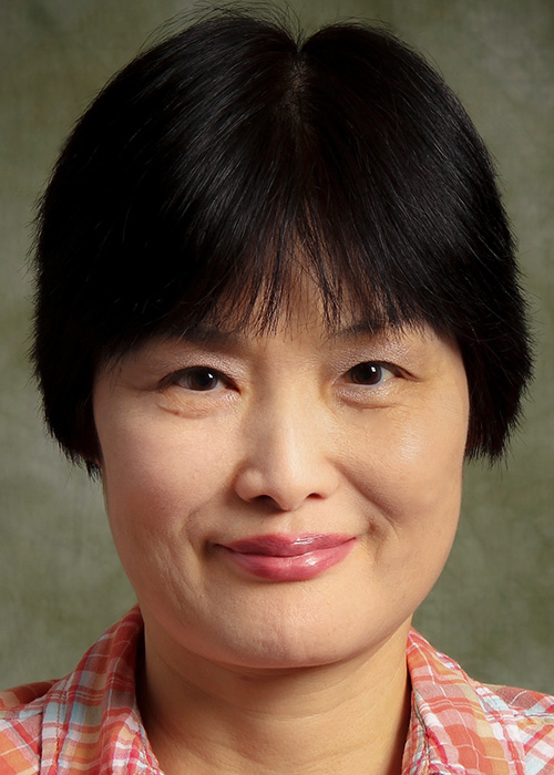 Professor Sha Jin, Department of Biomedical Engineering