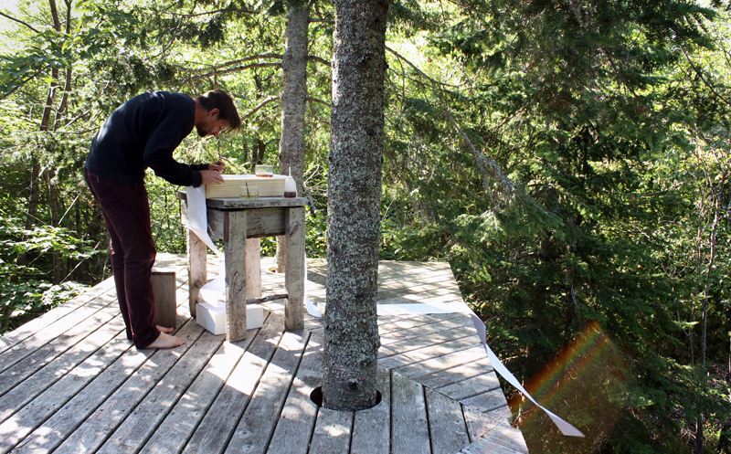 A tree platform allowed Colin Lyons to do his transcriptions and other research 20 feet off the ground.