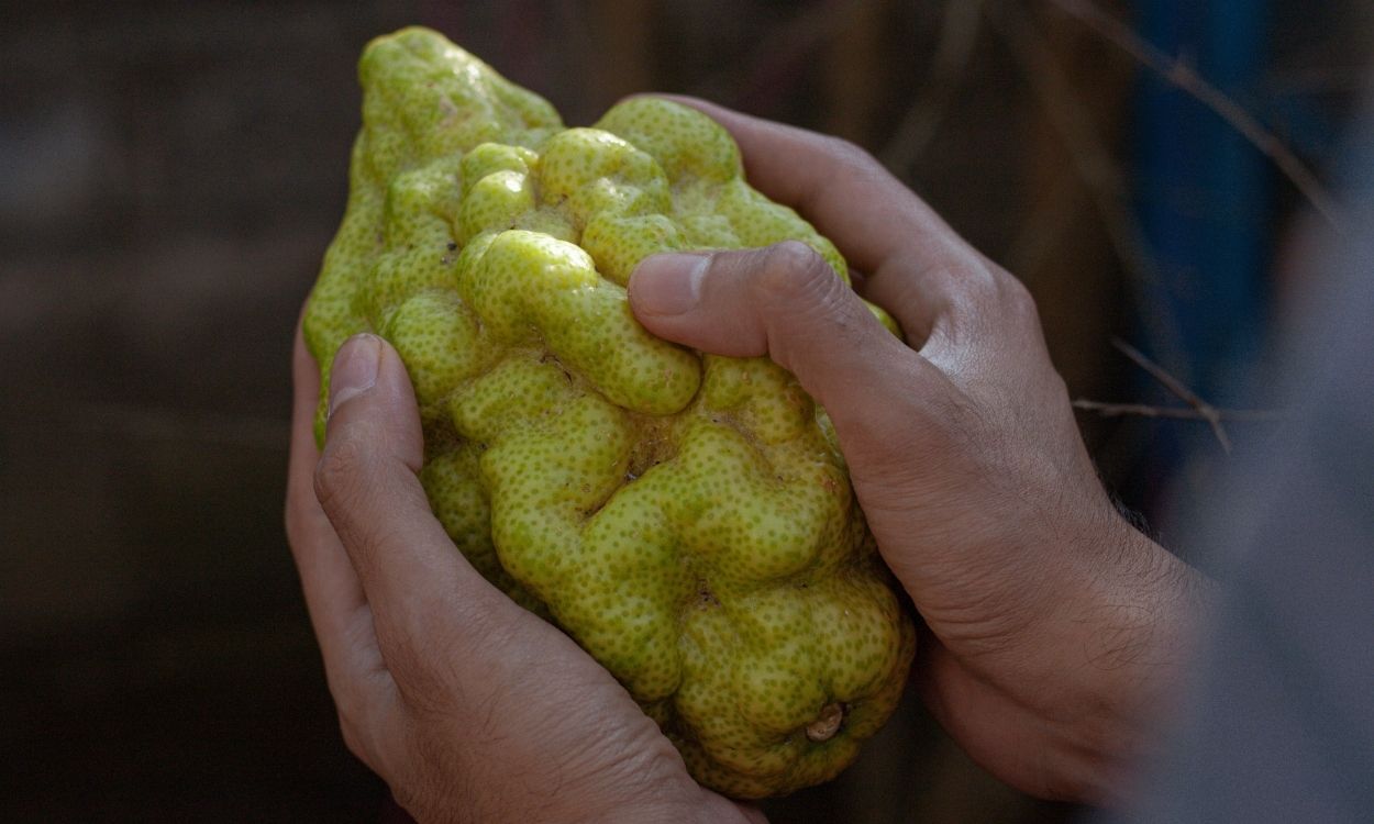 Shoppers are much more inclined to buy misshapen produce if they can be assured the quality is good.