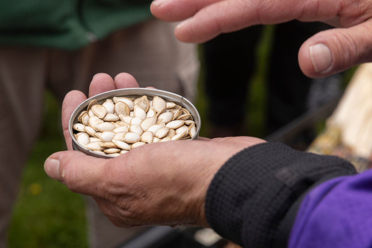 Angela Ferguson, Eel Clan of the Haudenosaunee Confederacy, holds a jar cap filled with Tuscarora squash seeds planted this past spring in the inaugural Three Sisters Garden at Binghamton. The garden, created with members of the Onondaga Nation Farm, honors the Indigenous peoples who call this land their ancestral home.