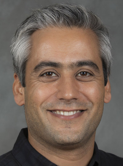Assistant Professor Mir Jalil Razavi