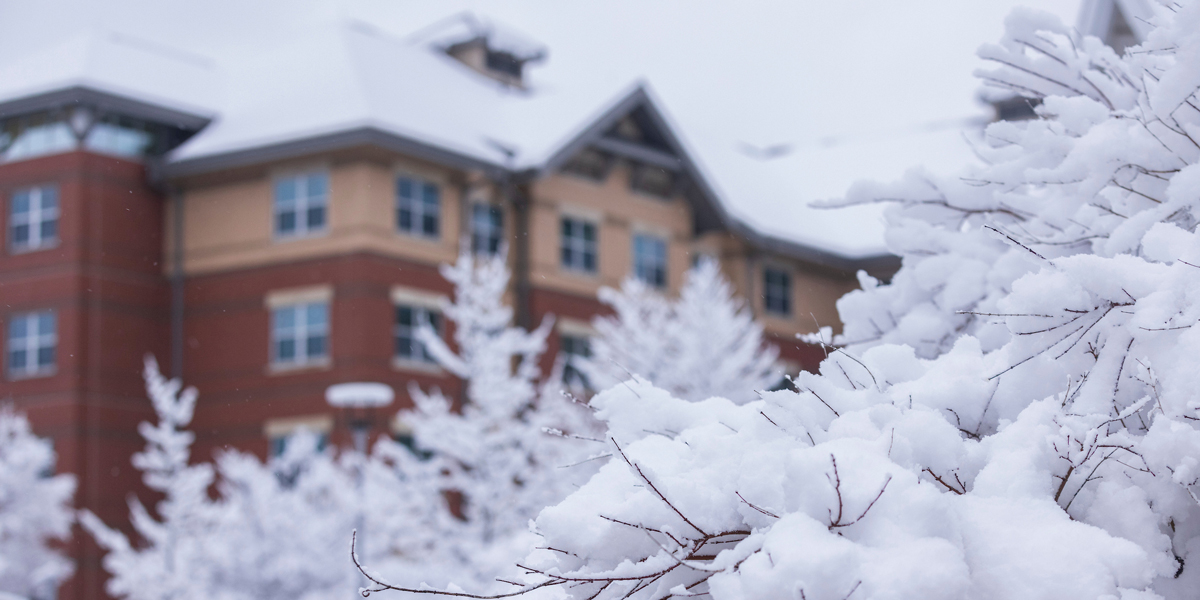 Snow blankets Newing College residential community.