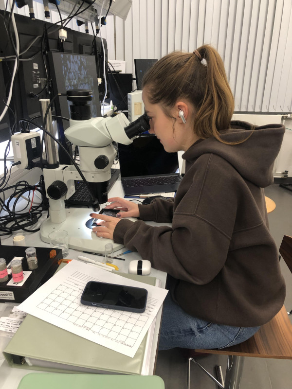 Earth Sciences doctoral student Gretl King conducted marine research in Germany as part of an expedition funded by the National Science Foundation and the International Ocean Drilling Program.