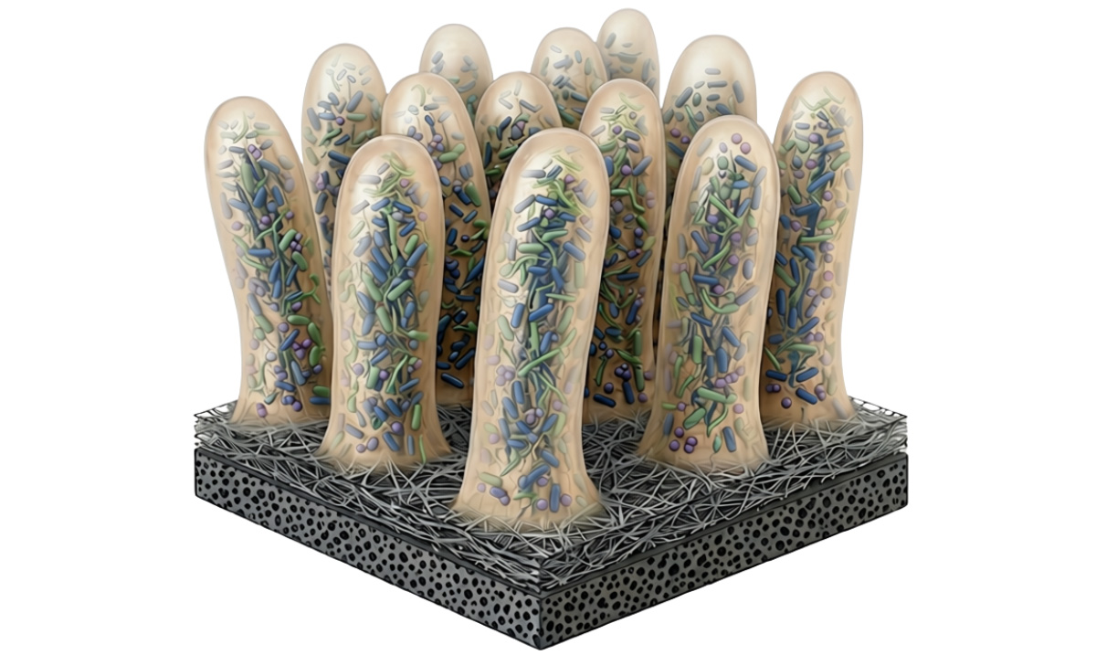 New biobatteries developed at Binghamton University are inspired by the finger-like protuberances called villi that line the digestive tract and help us to digest.