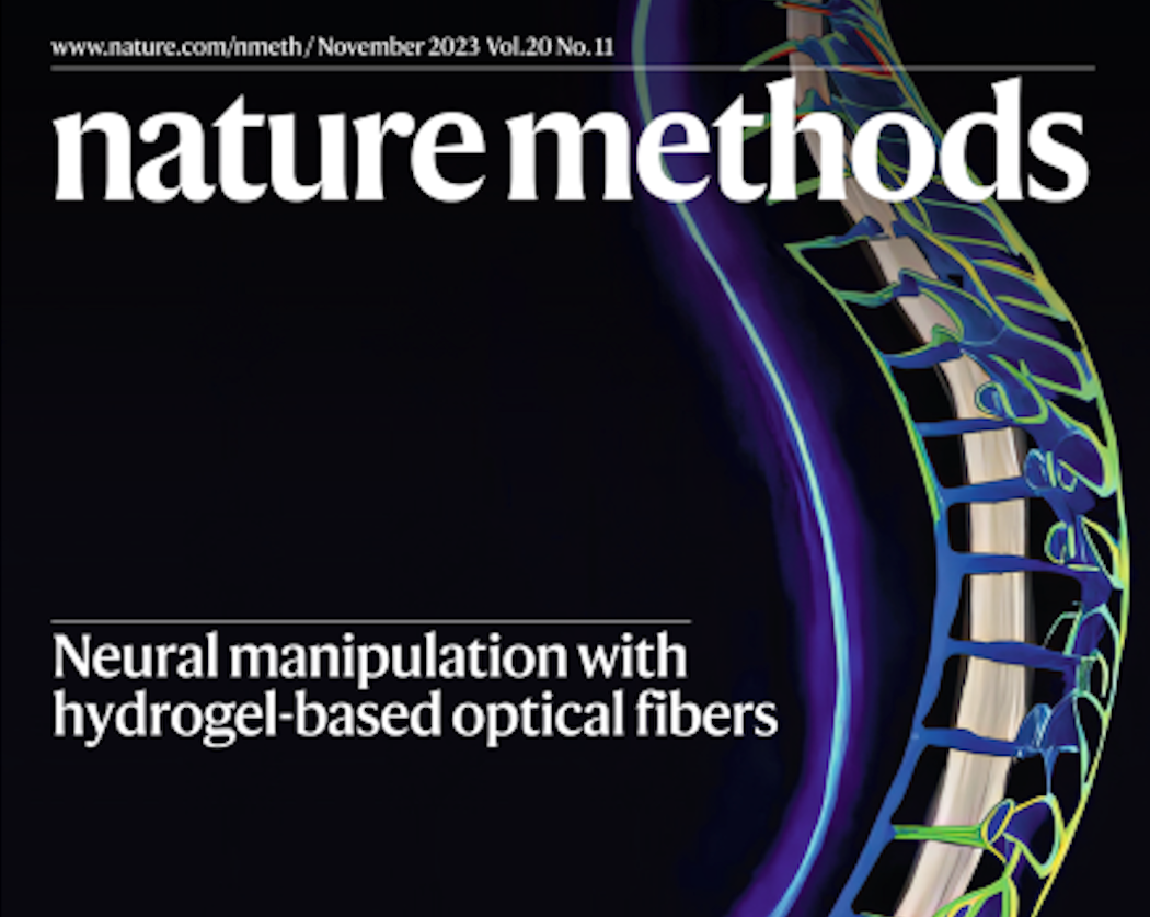 The cover of Nature Methods Magazine, which features the work Rao and her team have completed.