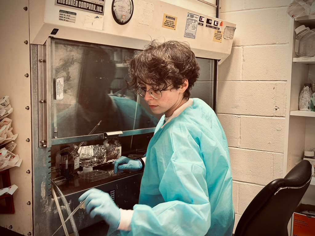Nadia Mirza-Romero ’19 majored in cell and molecular biology, Arabic Studies, and history at Binghamton, and is now finishing a doctorate at Boston University’s School of Medicine.