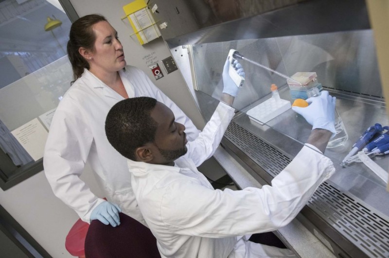 Gretchen Mahler, associate professor of biomedical engineering, works at left with a student at a Binghamton University biomedical lab. The Thomas J. Watson School of Engineering and Applied Science professor will lead an effort to find the causes of calcific aortic valve disease.
