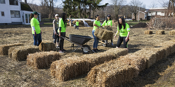 On Alumni Global Day of Service 2019, volunteers help break ground on a two-acre expansion of the Binghamton University Acres, the University's urban farm, which grows food for the community with the help of teens who work at the farm during the summer.