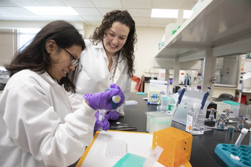 Assistant Professor Tracy Hookway pushed for new equipment in the Watson School’s histology lab.