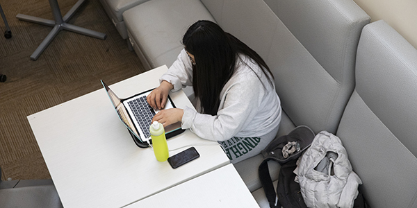 Binghamton University students in many classes will alternate between in-person and online sessions due to the necessity to reduce density in classes.
