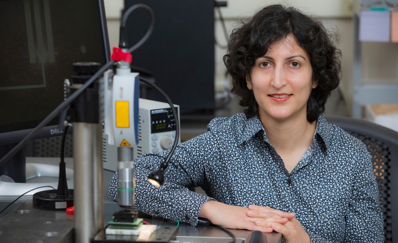 Professor Shahrzad “Sherry” Towfighian researches microelectromechanical systems (MEMS).