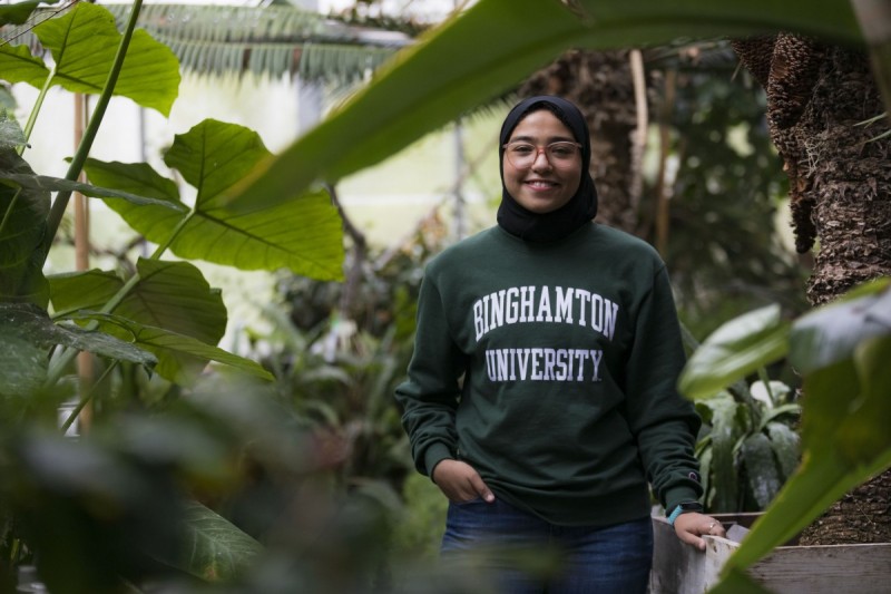 Hagar Soliman, a Fulbright scholar from Egypt, uses Mimulus plants in her studies of evolution at Binghamton.