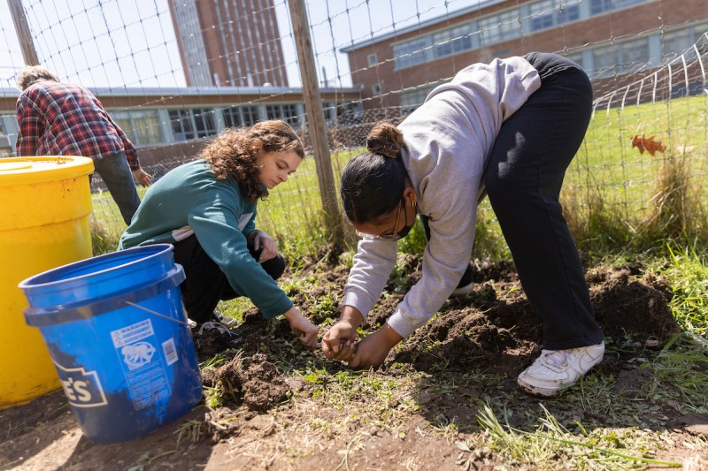Student volunteers Arianna Edwards and Alexis Birch assist BrieAnna S. Langlie, Assistant Professor of Anthropology, and Barrett Brenton, Faculty Engagement Associate with the Center for Civic Engagement, in preparing the land at Science 1 for an Indigenous Three Sisters Garden, Friday, April 29, 2022.